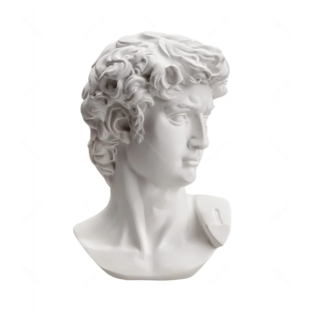 David Statue Head for Sale
