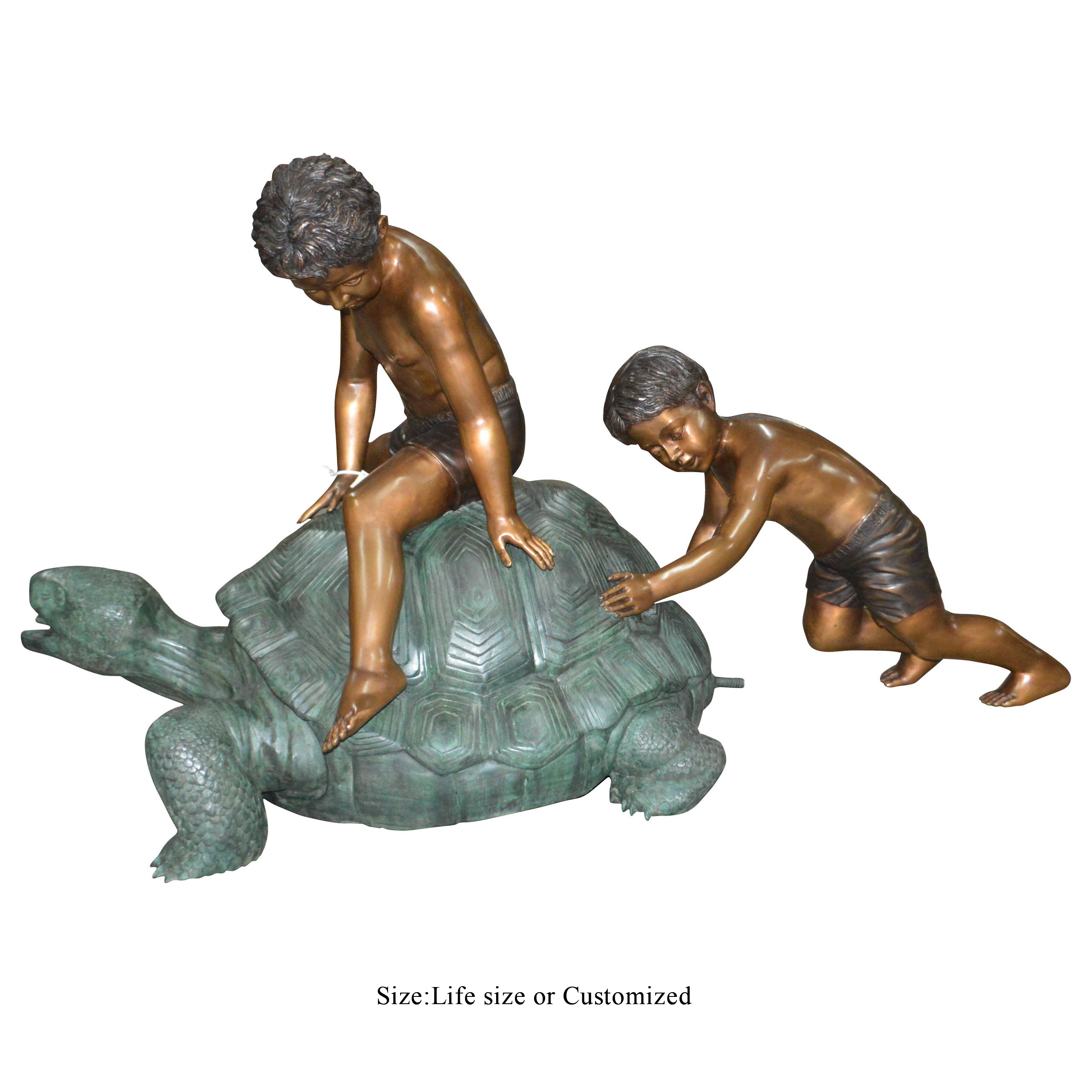 boy with turtle fountain