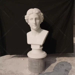 venus statue bust