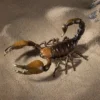 Scorpion Sculpture