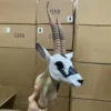 Antelope Head Wall Mount