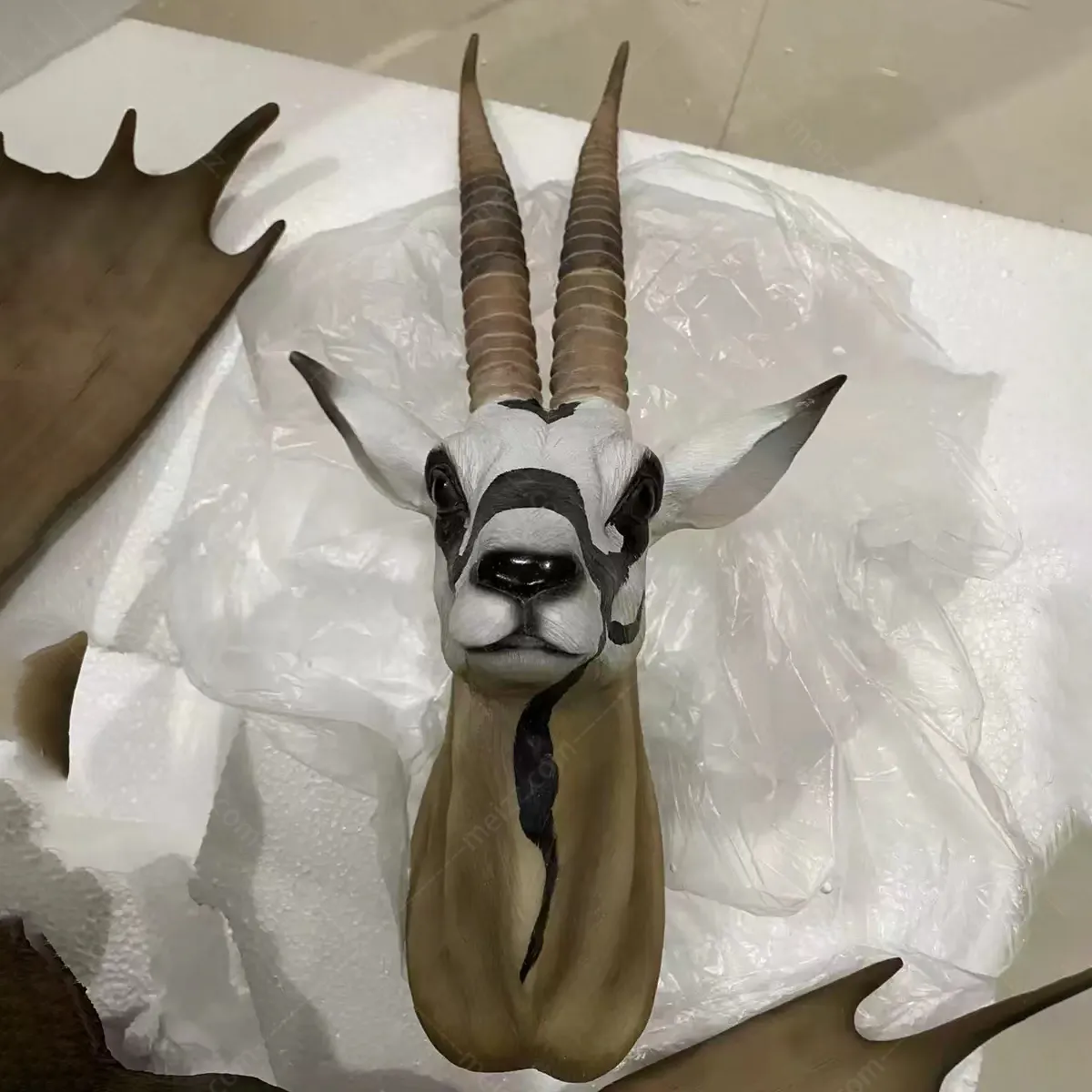 antelope head wall mount