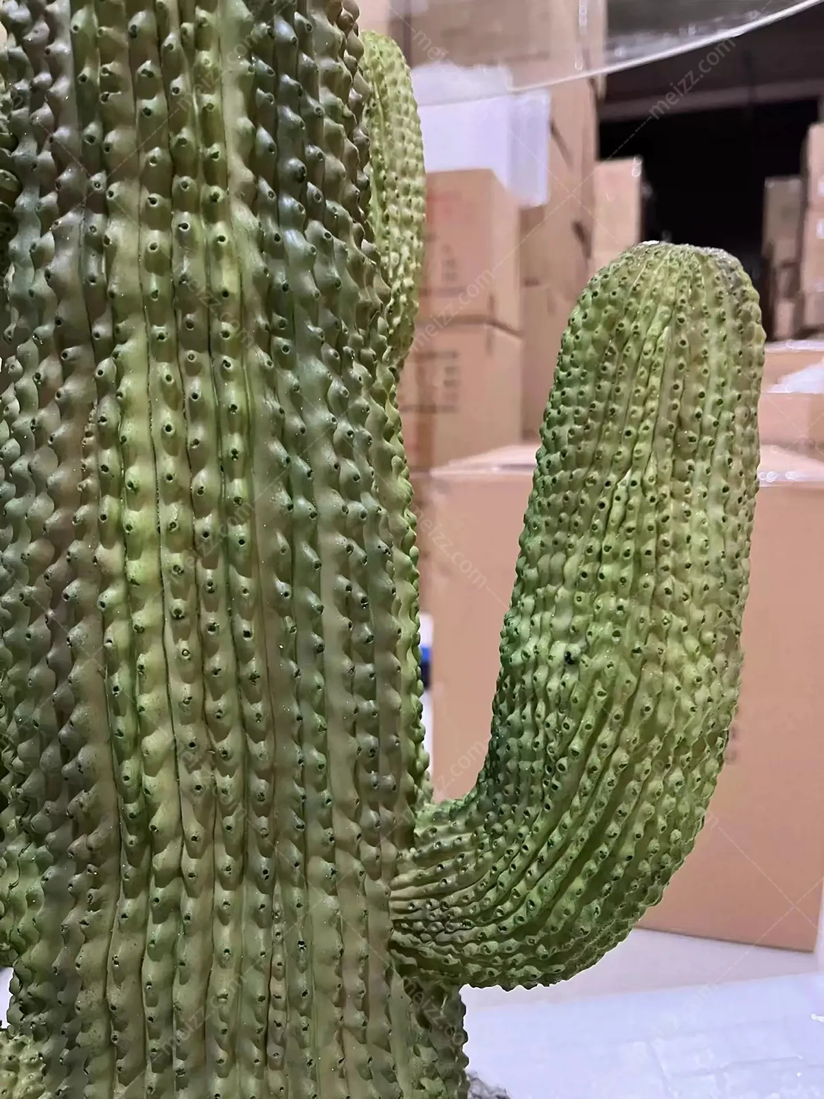 cactus side table