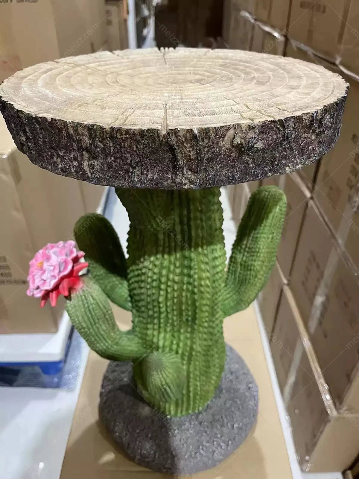 cactus coffee table