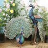 Garden Decor Peacock