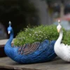 Peacock Flower Pot