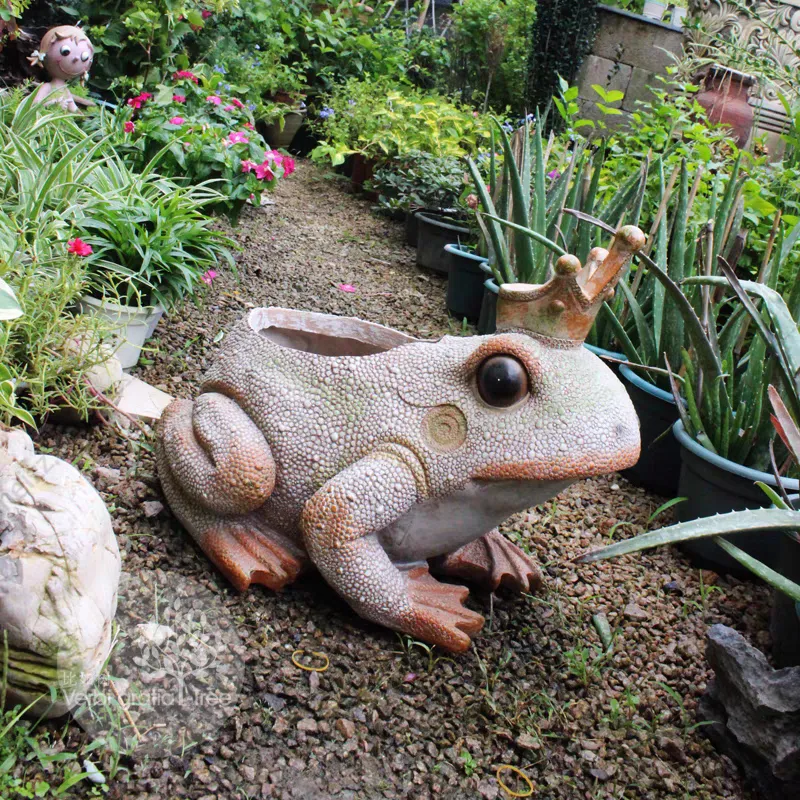 flower pot frog