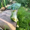 Frog Statue for Sale